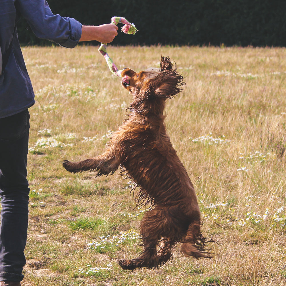 Ecologically Sound Hemp Rope Toy!