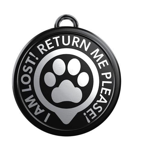 GOTCHA! The Smart Pet Tag