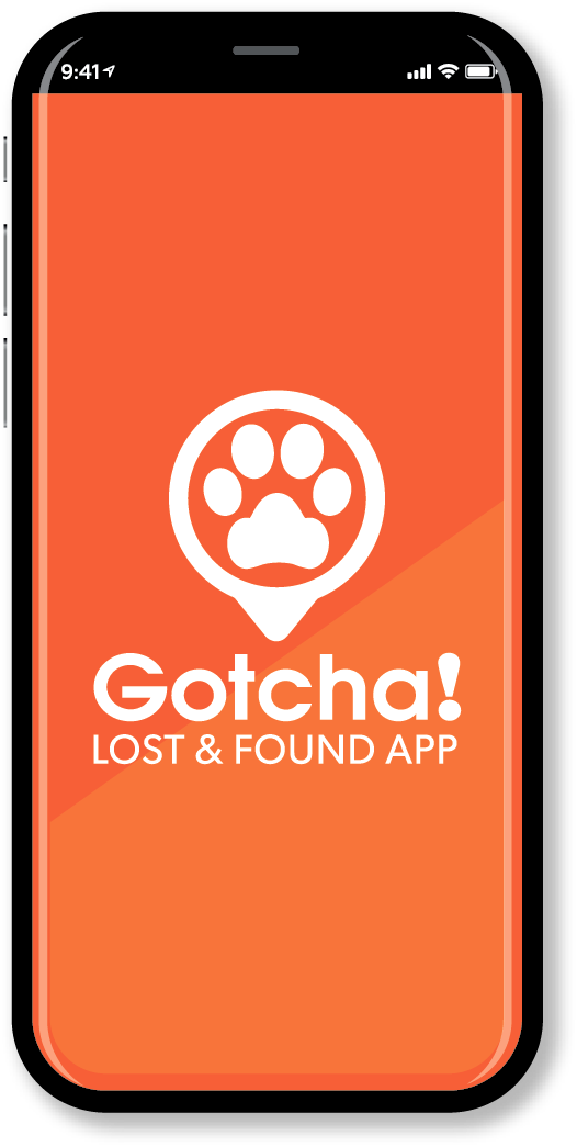GOTCHA! The Smart Pet Tag
