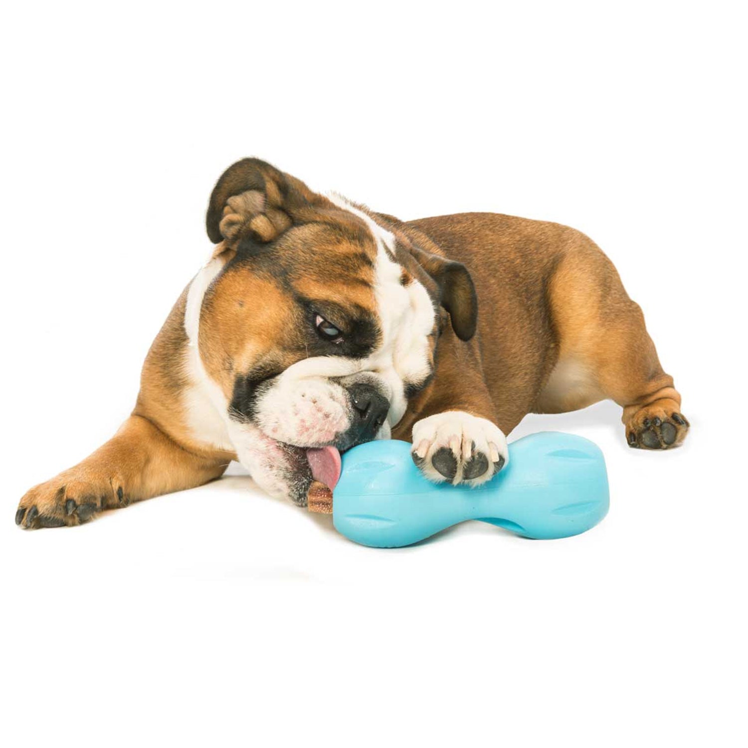  West Paw Zogoflex Tux Treat Dispensing Dog Chew Toy