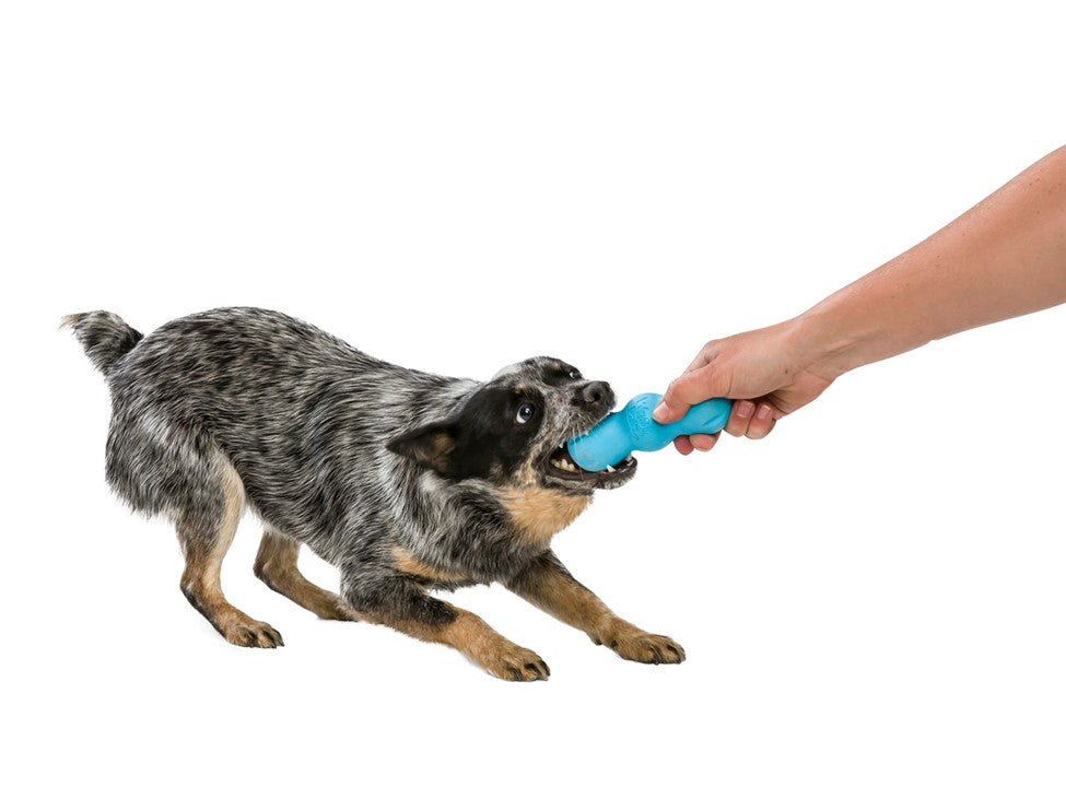 Active Chewers Puzzle Treat and Chew Toys!