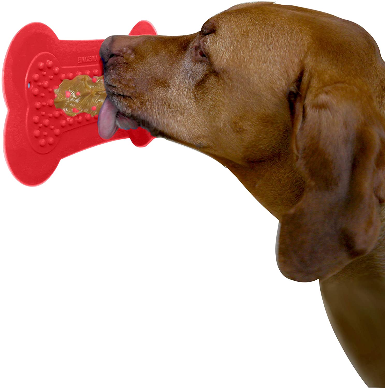 Active Chewers Puzzle Treat and Chew Toys! – The Health Whisperer