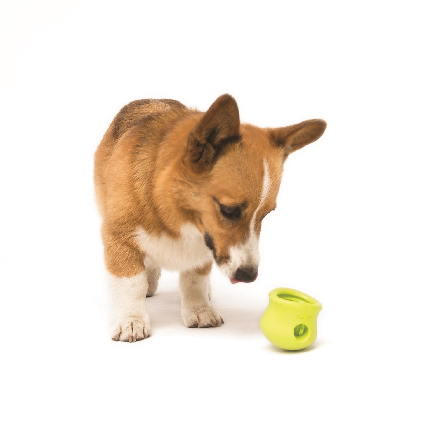 Active Chewers Puzzle Treat and Chew Toys!