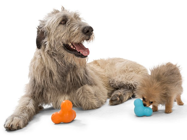 Active Chewers Puzzle Treat and Chew Toys!